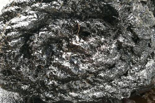 排水管被地下的樹根堵了應該怎么辦？