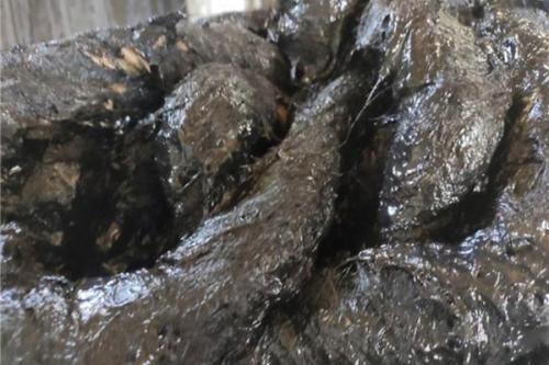 景墻工程施工方法解析,你知道有哪些? 第2張